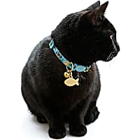 YOULY Tropical Cat Collar