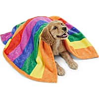 EveryYay Pride Rainbow Pet Throw