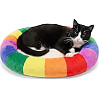 EveryYay Pride Rectangle Mat Cat Bed