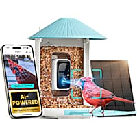 Birdfy Blue Solar Panel & AI Lifetime Free Smart Bird Feeder Camera