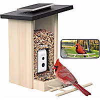 Birdfy Ebony Solar Powered Smart Bird Feeder with Camera