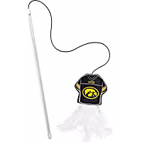 Pets First NCAA Iowa Hawkeyes Cat Wand