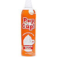 Pup Cup! Pumpkin Whipped Cream Dog Treat