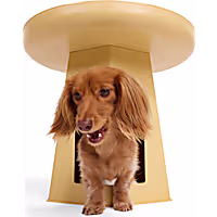 Petco Pet Condo End Table