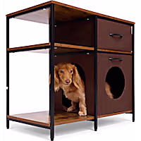 Petco Hidden Pet Condo Side Table with Storage