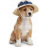 YOULY Raffia Pet Bucket Hat