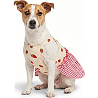 YOULY Red, White & Blue Striped Pet Dress