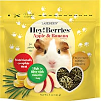 Lafeber's Hey!Berries Apple & Banana for Treats Guinea Pigs
