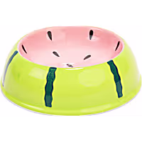 EveryYay Watermelon Ceramic Cat Bowl