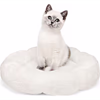 EveryYay Round Bolster Plush Cream Cat Bed
