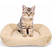 EveryYay Corduroy Rectangle Step-In Cat Bed