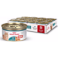 Royal Canin Aging 11+ Thin Slices in Gravy Supports Optimal Health & Vitality Senior Wet Cat Food