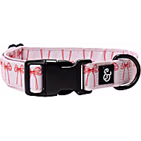 Lucy & Co. Take a Bow Dog Collar