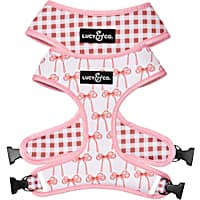 Lucy & Co. Take a Bow Reversible Dog Harness