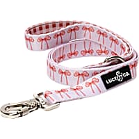 Lucy & Co.Take a Bow Dog Leash