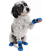 Petco Blue Plaid Dog Socks