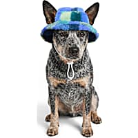 Petco Blue Plaid Pet Bucket Hat
