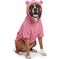Petco Teddy Bear Ears Hooded Pet Sweater