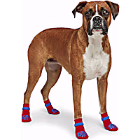 Petco Functional Gripping Dog Socks