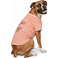 Petco Love Magnet Pet T-Shirt