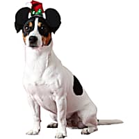 RUBIES Minnie Ear Santa Hat for Dogs