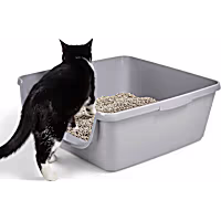 So Phresh Low Entry Senior Cat Litter Pan