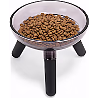 Petco Raised Glass Dog Bowl with Plastic Stand