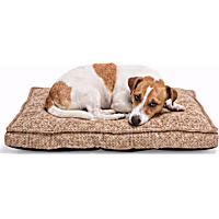 Petco Tufted Orthopedic Mat Dog Bed