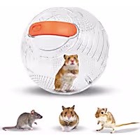Happy Habitats Roam Clear Small Pet Exercise Ball