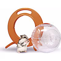 Happy Habitats Halo Small Pet Carrier and Clear Roam Exercise Ball
