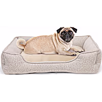 Petco Taupe Bolster Box Dog Bed