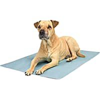 Petco Cooling Pad for Dogs