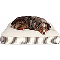 Petco Blue Striped Gusset Dog Bed