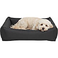 Petco Indoor/Outdoor Durable Dog Bed