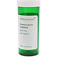 Famciclovir Tablets (Generic)