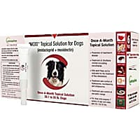 Imoxi TOPICAL SOLN for Dogs (Generic) 20.1-55 lbs