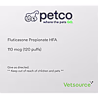 Fluticasone Propionate HFA (Generic) 110 mcg (120 puffs)