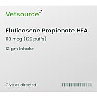 Fluticasone Propionate HFA (Generic) 110 mcg (120 puffs)