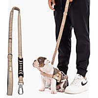 Dog Friendly Co Bungee Dog Leash