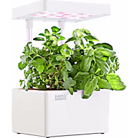 Back to the Roots Hydroponic Grow Kit Indoor Garden with LED Light and Organic Seeds Matte White