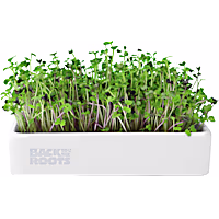 Back to the Roots Organic Microgreens Grow Kit with Ceramic Planter and Organic Seeds