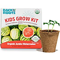 Back to the Roots Kids Grow Kit Organic Jumbo Watermelon