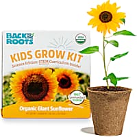 Back to the Roots Kids Sunflower Grow Kit