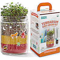 Back to the Roots Organic Terrarium Kids Grow Kit