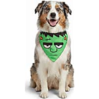 Petco Frankenstein Monster Pet Bandana