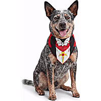 Petco Vampire Cloak Pet Bandana