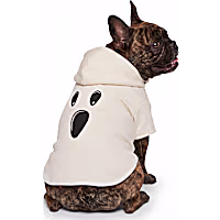 Petco Ghost Pet Costume