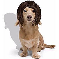 Petco Short Brown Wig Pet Costume Headpiece