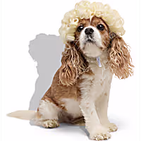 Petco Blonde Curly Wig Pet Costume Headpiece
