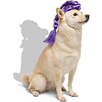 Petco Purple Braids Wig Pet Costume Headpiece